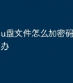 u盘文件怎么加密码忘了怎么办
