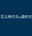 怎么格式化u盘的文件