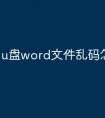 u盘word文件乱码怎么恢复