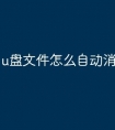 u盘文件怎么自动消失