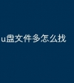 u盘文件多怎么找