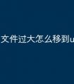 文件过大怎么移到u盘