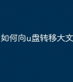 如何向u盘转移大文件