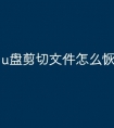 u盘剪切文件怎么恢复