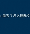u盘丢了怎么删除文件