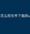怎么将文件下载到u盘