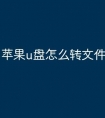 苹果u盘怎么转文件