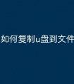 如何复制u盘到文件里