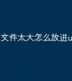 文件太大怎么放进u盘