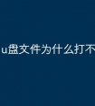 u盘文件为什么打不开怎么办