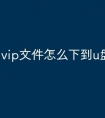 vip文件怎么下到u盘