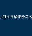 u盘文件被覆盖怎么恢复