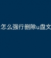 怎么强行删除u盘文件