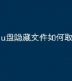 u盘隐藏文件如何取消