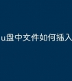 u盘中文件如何插入电脑
