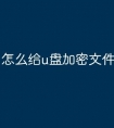 怎么给u盘加密文件复制