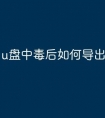 u盘中毒后如何导出文件