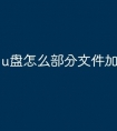 u盘怎么部分文件加密