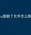 u盘删了文件怎么恢复