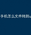 手机怎么文件转到u盘