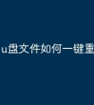 u盘文件如何一键重命名