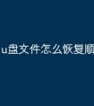 u盘文件怎么恢复顺序