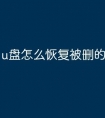 u盘怎么恢复被删的文件