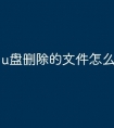 u盘删除的文件怎么查