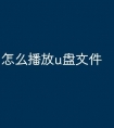 怎么播放u盘文件