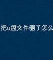 把u盘文件删了怎么找回