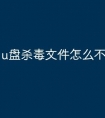 u盘杀毒文件怎么不显示
