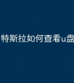 特斯拉如何查看u盘文件