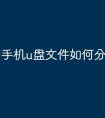手机u盘文件如何分享