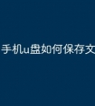 手机u盘如何保存文件