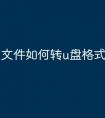文件如何转u盘格式