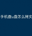 手机查u盘怎么拷文件