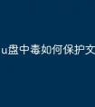 u盘中毒如何保护文件