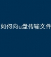 如何向u盘传输文件