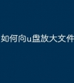 如何向u盘放大文件
