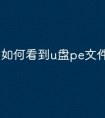 如何看到u盘pe文件