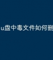 u盘中毒文件如何删除