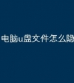 电脑u盘文件怎么隐藏