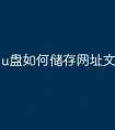 u盘如何储存网址文件