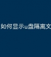 如何显示u盘隔离文件