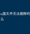 u盘文件无法删除的原因是什么