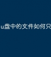 u盘中的文件如何只读