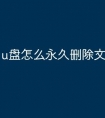 u盘怎么永久删除文件