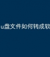 u盘文件如何转成软件